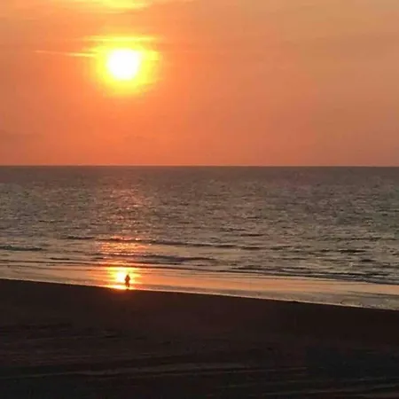 By Zeedijk With Sea View, Cleaning Included 코크시데