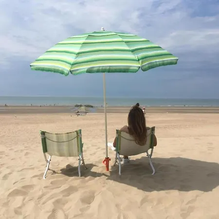 By Zeedijk With Sea View, Cleaning Included *