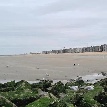 By Zeedijk With Sea View, Cleaning Included 아파트 코크시데