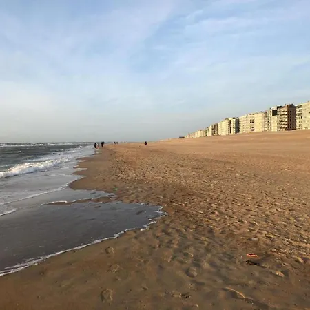 By Zeedijk With Sea View, Cleaning Included