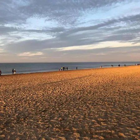 By Zeedijk With Sea View, Cleaning Included Apartament Koksijde